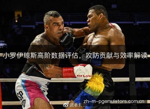 小罗伊琼斯高阶数据评估，攻防贡献与效率解读